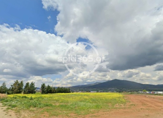 property-img